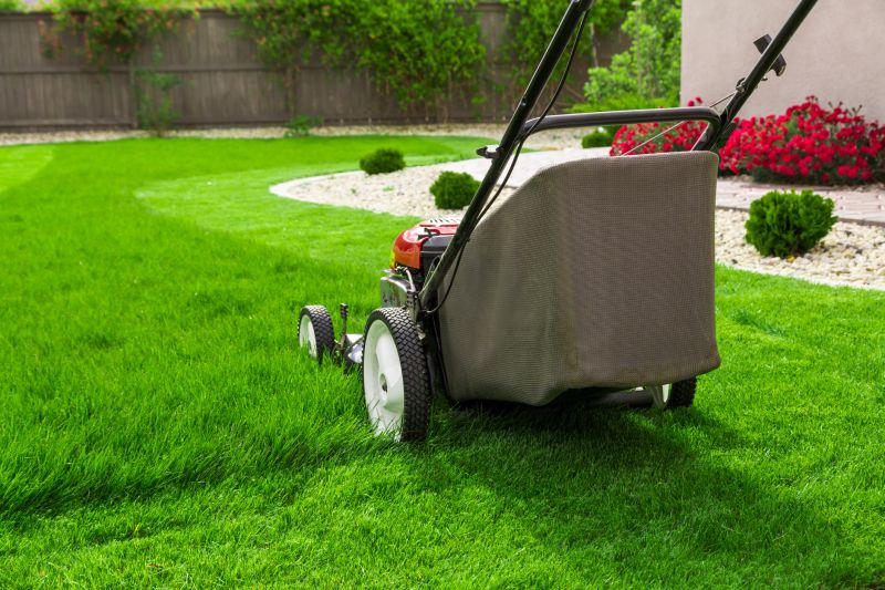 Home Lawn Maintenance