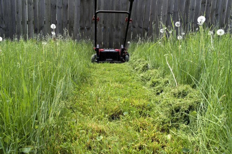 Seasonal lawn care planning