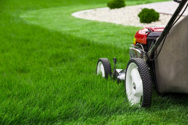 Lawn Cutting Service in Decatur