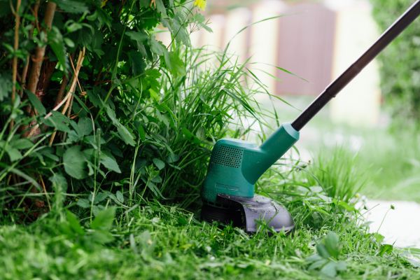 Cost of Weed Whacking in Decatur
