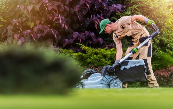 Yard Care Service in Decatur