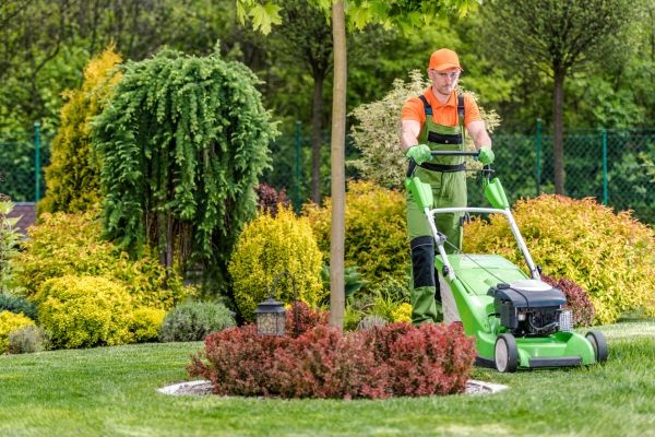 Yard Service in Decatur