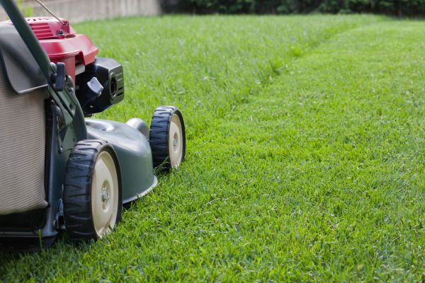 Residential Lawn Care in Decatur