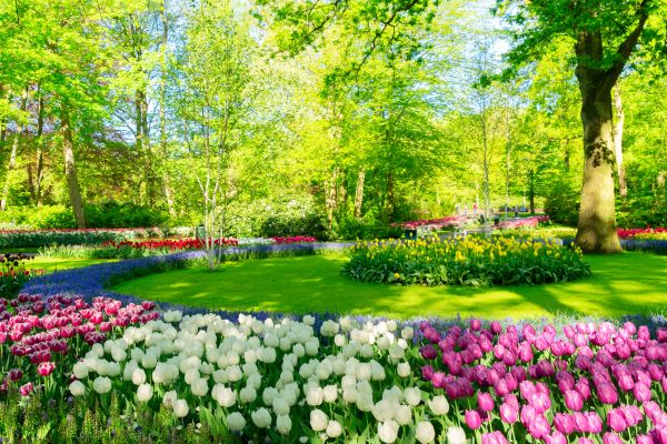 Cost of Spring Lawn Care in Decatur