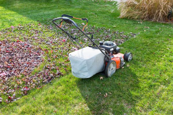 Seasonal Lawn Care in Decatur