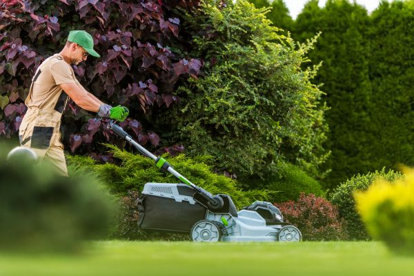 Lawn Management in Decatur