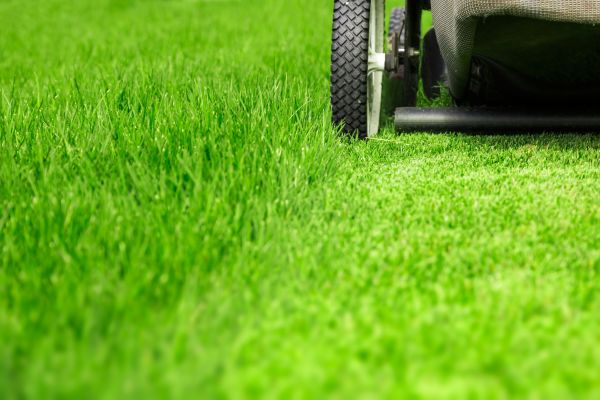 Weekly Lawn Care in Decatur