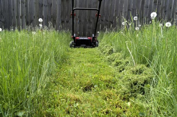 Cost of High Grass Mowing in Decatur