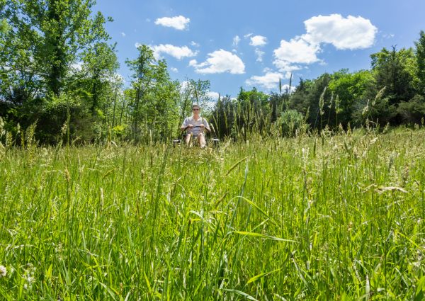 Cost of Long Grass Mowing in Decatur