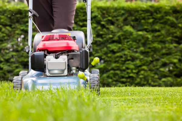Cost of Grass Trimming Service in Decatur