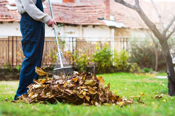 Cost of Routine Lawn Maintenance in Decatur