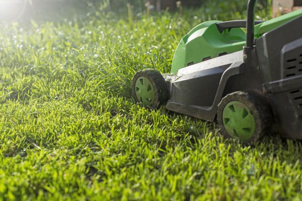 Yard Trimming in Decatur
