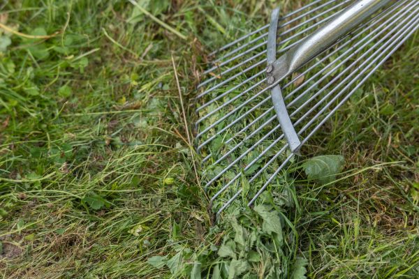 Cost of Thatch Raking in Decatur