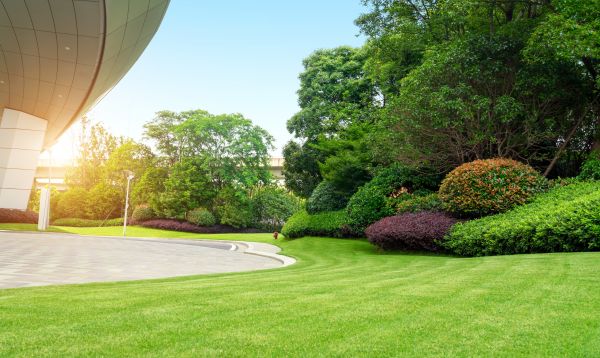 Cost of Business Groundskeeping in Decatur