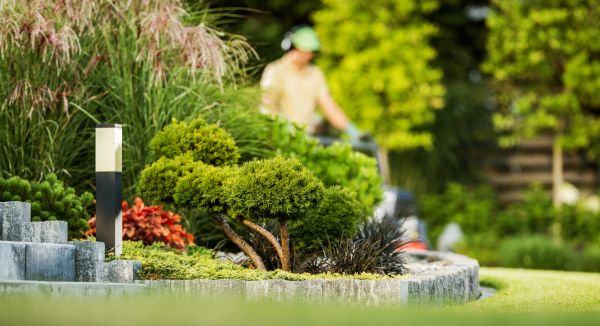 Cost of Residential Yard Maintenance in Decatur