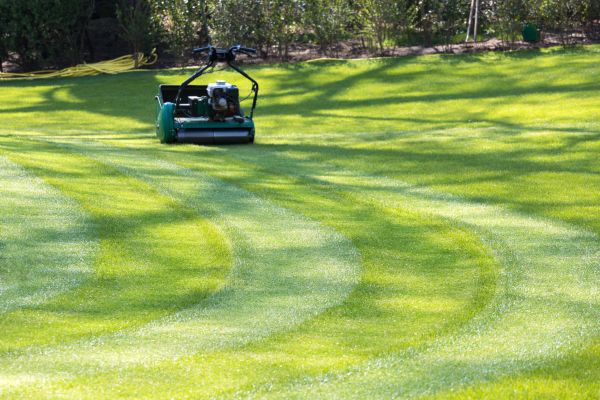 Cost of Business Lawn Mowing in Decatur