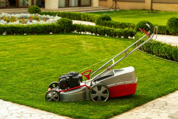 Cost of Business Grass Cutting in Decatur