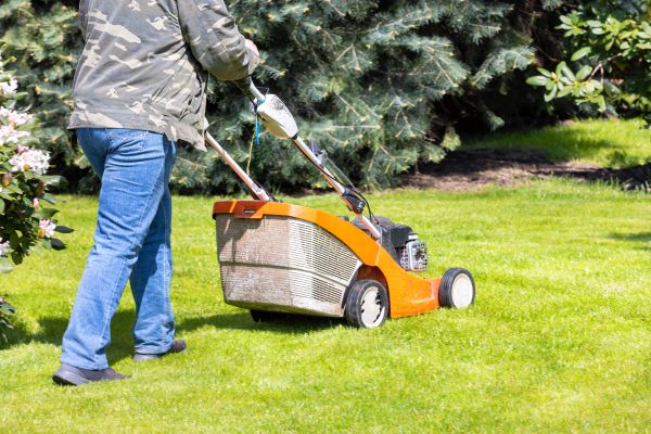Cost of Springtime Lawn Care in Decatur