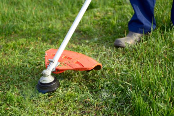 Cost of Lawn Weed Whacking in Decatur